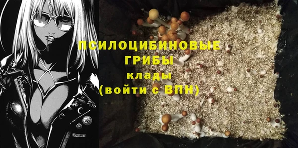 дмт Алексин