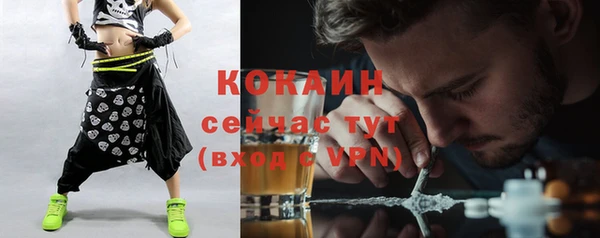 соль ск Абаза