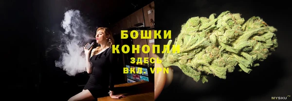 соль ск Абаза