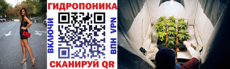 Шишки марихуана Bruce Banner Новая Усмань